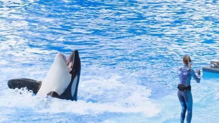 開個水族館的艱難生活（開一個水族館的艱難生活） 開個水族館的艱難生活（開一個水族館的艱難生活） 水族館百科（水族館加盟） 第3張