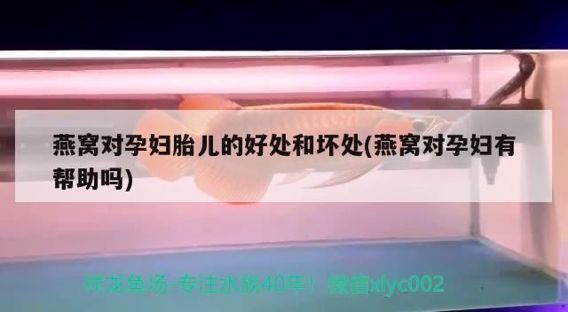 2023年廣州水族展會時間表及地址（2020年廣州水族展會） 2023年廣州水族展會時間表及地址（2020年廣州水族展會） 黃金貓魚百科 第1張