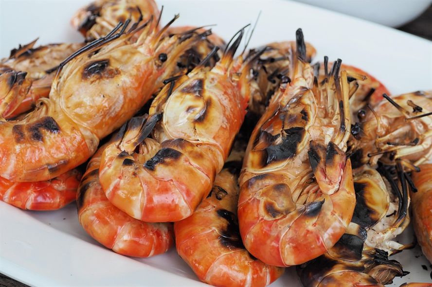 喀喇沁旗嘉銘金魚(yú)花卉店