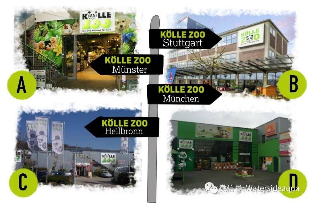 水族館專用飼料購買指南（水族館專用飼料是維持水生動物健康生長的關鍵,水族館飼料投喂技巧）