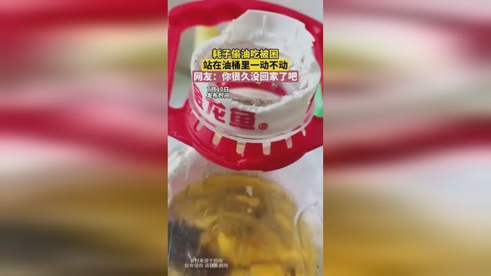 龍魚活食檢疫vs祥龍魚場：龍魚活食檢疫與祥龍魚場之間的差異