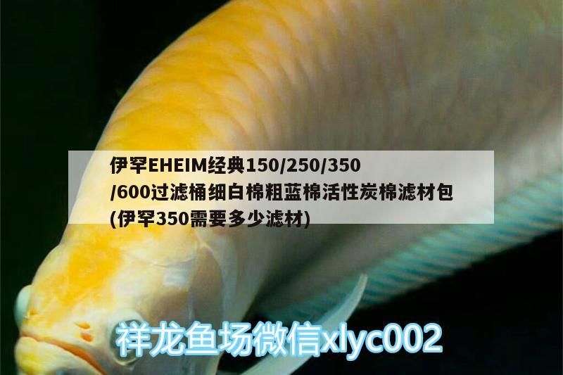 伊罕EHEIM經典150/250/350/600過濾桶細白棉粗藍棉活性炭棉濾材包(伊罕350需要多少濾材) 伊罕EHEIM經典150/250/350/600過濾桶細白棉粗藍棉活性炭棉濾材包(伊罕350需要多少濾材) 伊罕水族