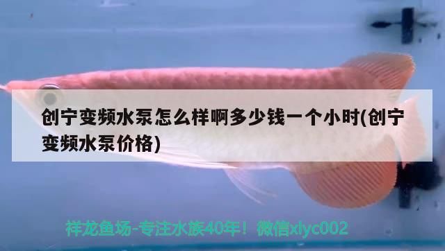 創(chuàng)寧變頻水泵怎么樣啊多少錢一個(gè)小時(shí)(創(chuàng)寧變頻水泵價(jià)格)