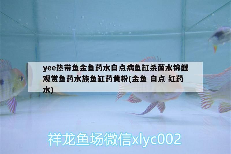 yee熱帶魚金魚藥水白點病魚缸殺菌水錦鯉觀賞魚藥水族魚缸藥黃粉(金魚白點紅藥水) yee熱帶魚金魚藥水白點病魚缸殺菌水錦鯉觀賞魚藥水族魚缸藥黃粉(金魚白點紅藥水) yee