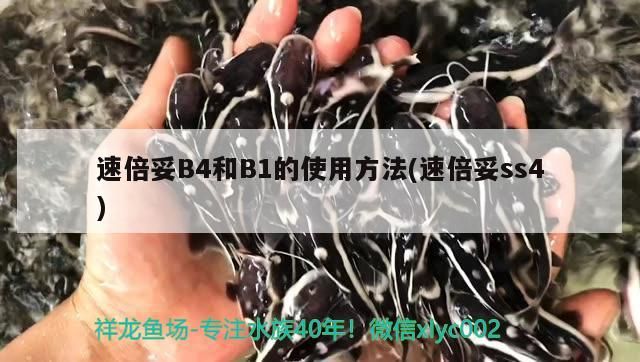 魚缸過濾器選購指南:自制魚缸過濾器魚缸上置過濾器對于養魚愛好者的必備知識 速倍妥B4和B1的使用方法(速倍妥ss4) 速倍妥 速倍妥B4和B1的使用方法(速倍妥ss4) 速倍妥B4和B1的使用方法(速倍妥ss4) 速倍妥