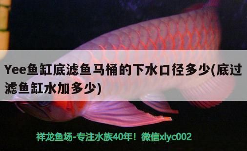 魚缸用增氧泵價格是多少:魚缸增氧機-xtrac增氧機-xtrac增氧機 Yee魚缸底濾魚馬桶的下水口徑多少(底過濾魚缸水加多少) yee Yee魚缸底濾魚馬桶的下水口徑多少(底過濾魚缸水加多少) Yee魚缸底濾魚馬桶的下水口徑多少(底過濾魚缸水加多少) yee