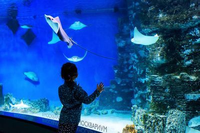 水族館里的魚有哪些（關(guān)于水族館里的魚類介紹）
