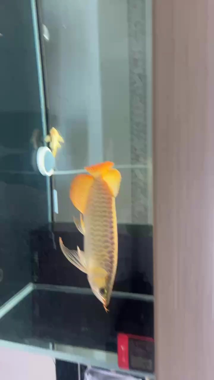 。
