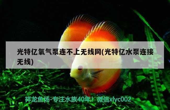 光特億氧氣泵連不上無(wú)線網(wǎng)(光特億水泵連接無(wú)線)
