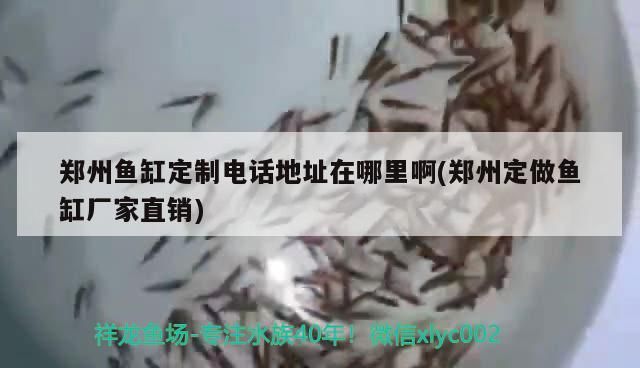 鄭州魚缸定制電話地址在哪里啊(鄭州定做魚缸廠家直銷) 鄭州魚缸定制電話地址在哪里啊(鄭州定做魚缸廠家直銷) iwish愛唯希品牌魚缸