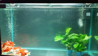 博特標準件：博特標準件有限公司