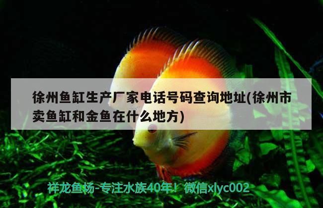 徐州魚缸生產廠家電話號碼查詢地址(徐州市賣魚缸和金魚在什么地方)