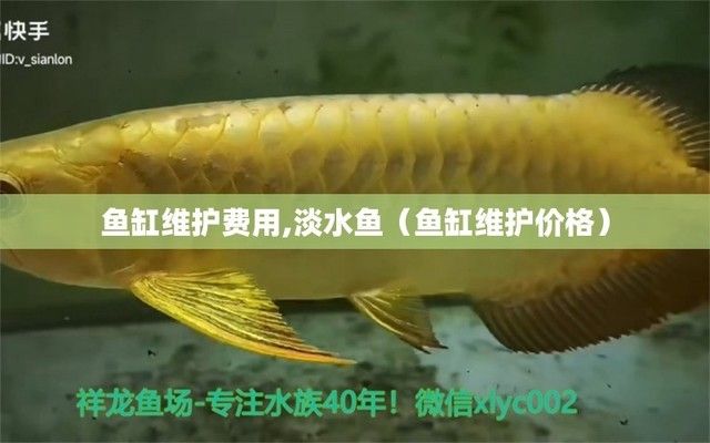 吉印光影系列怎么樣（吉印光影系列怎么樣值得買(mǎi)嗎）