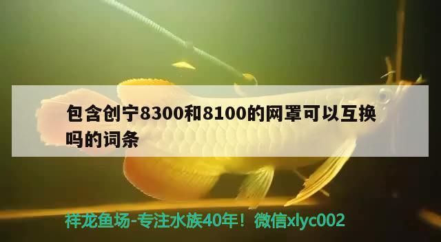 包含創寧8300和8100的網罩可以互換嗎的詞條