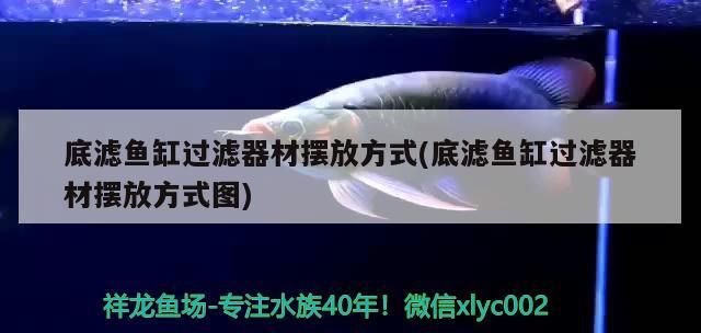 底濾魚缸過濾器材擺放方式(底濾魚缸過濾器材擺放方式圖)