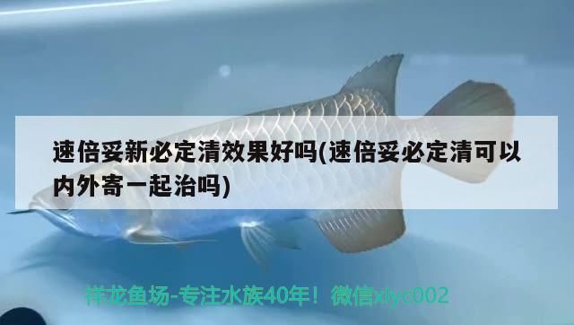 速倍妥新必定清效果好嗎(速倍妥必定清可以內外寄一起治嗎) 速倍妥新必定清效果好嗎(速倍妥必定清可以內外寄一起治嗎) 速倍妥