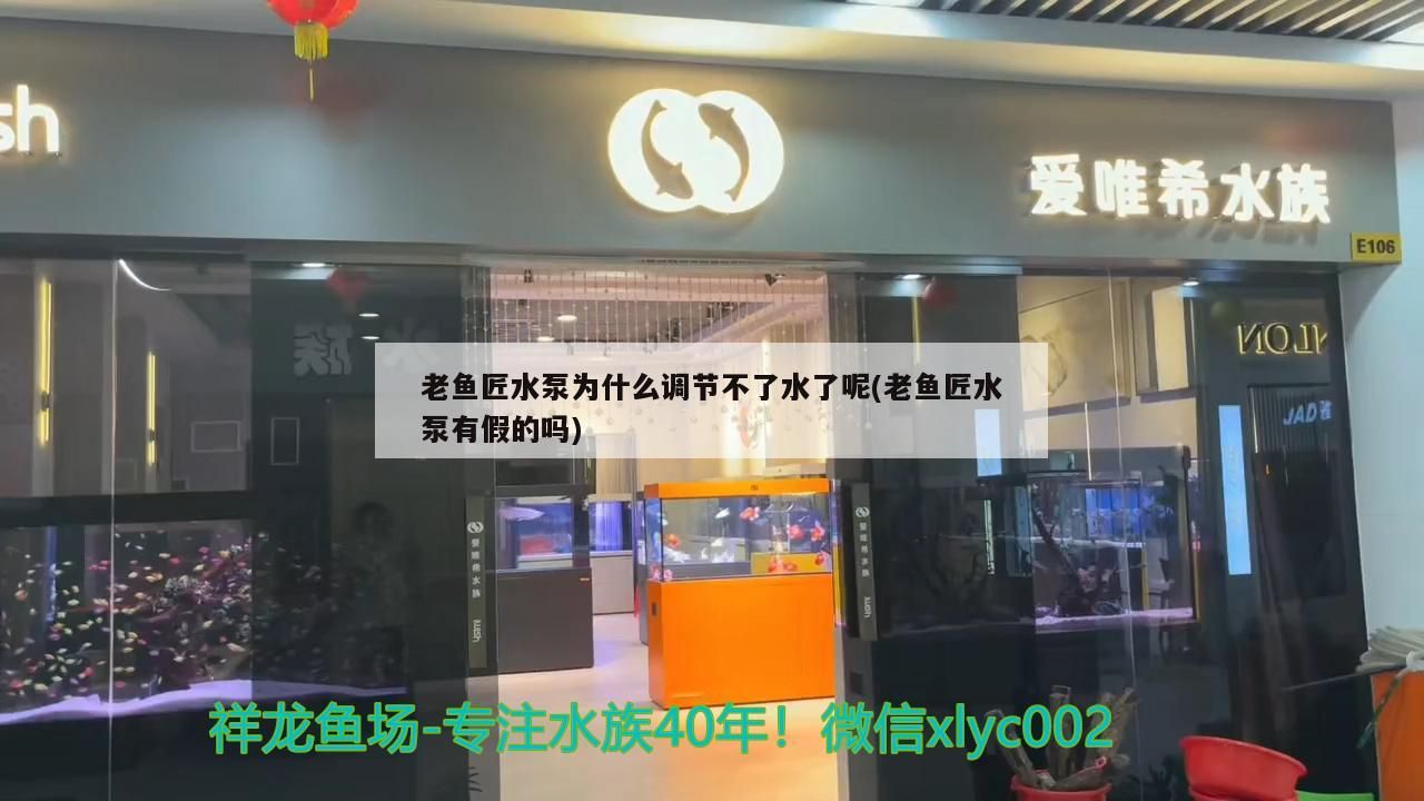 老魚匠水泵為什么調節不了水了呢(老魚匠水泵有假的嗎)