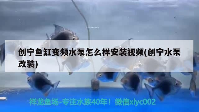 創寧魚缸變頻水泵怎么樣安裝視頻(創寧水泵改裝)