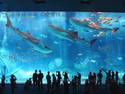 水族館運營:探討水族館的運營模式 水族館百科(水族館加盟) 第5張 水族館運營:探討水族館的運營模式 水族館運營:探討水族館的運營模式 水族館百科(水族館加盟) 第5張