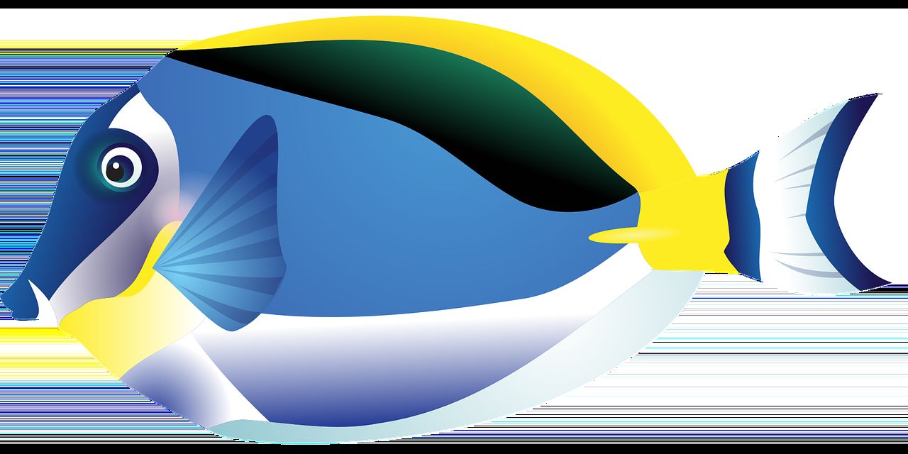 龍魚干蝦有營養(yǎng)嗎 魚缸里的綠藻怎么清洗( 魚缸都是綠藻怎么清洗) 九鼎魚缸 魚缸里的綠藻怎么清洗( 魚缸都是綠藻怎么清洗) 魚缸里的綠藻怎么清洗( 魚缸都是綠藻怎么清洗) 九鼎魚缸