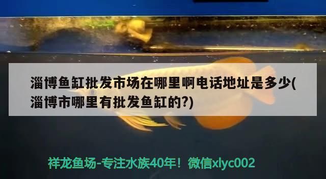 淄博魚缸批發(fā)市場在哪里啊電話地址是多少(淄博市哪里有批發(fā)魚缸的?) 淄博魚缸批發(fā)市場在哪里啊電話地址是多少(淄博市哪里有批發(fā)魚缸的?) iwish愛唯希品牌魚缸