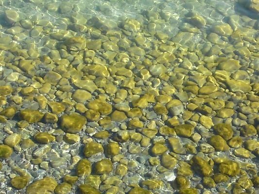 龍魚缸里放什么東西好，如何在龍魚缸內放置物品