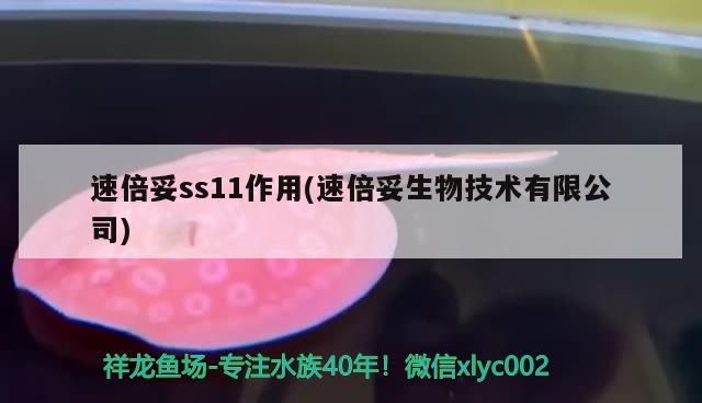 速倍妥ss11作用(速倍妥生物技術有限公司)