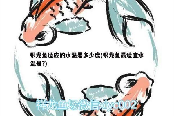 龍魚水溫19度能撐多久呢vs祥龍魚場：龍魚適宜的水溫19度能撐多久龍魚水溫對龍魚的影響