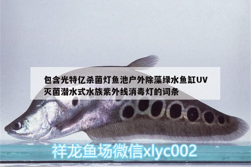 包含光特億殺菌燈魚池戶外除藻綠水魚缸UV滅菌潛水式水族紫外線消毒燈的詞條