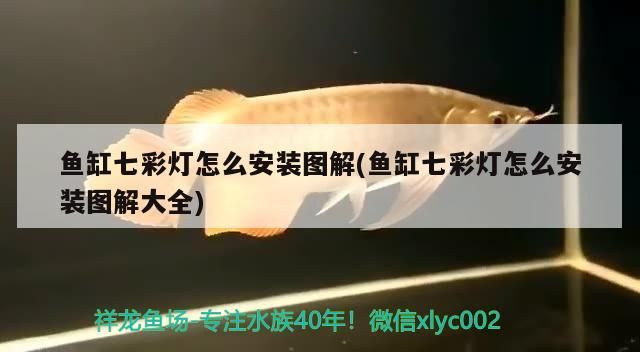 魚缸七彩燈怎么安裝圖解(魚缸七彩燈怎么安裝圖解大全)