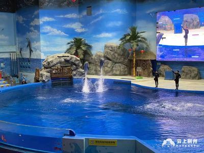 水族館好玩嗎現在還能去嗎（上海海洋水族館是一個適合各個年齡段游客的旅游目的地） 水族館好玩嗎現在還能去嗎（上海海洋水族館是一個適合各個年齡段游客的旅游目的地） 水族館百科（水族館加盟） 第1張