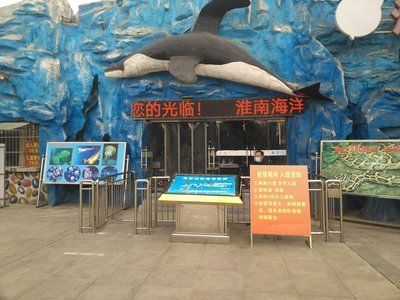 水族館好玩嗎現在還能去嗎（上海海洋水族館是一個適合各個年齡段游客的旅游目的地） 水族館好玩嗎現在還能去嗎（上海海洋水族館是一個適合各個年齡段游客的旅游目的地） 水族館百科（水族館加盟） 第5張