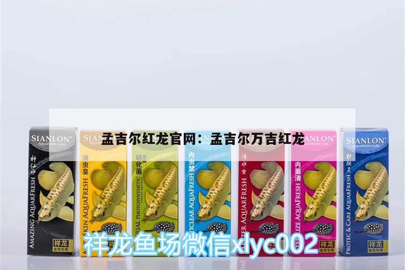 魚缸 孟吉爾紅龍官網:孟吉爾萬吉紅龍 廣州孟吉爾 孟吉爾紅龍官網:孟吉爾萬吉紅龍 孟吉爾紅龍官網:孟吉爾萬吉紅龍 廣州孟吉爾