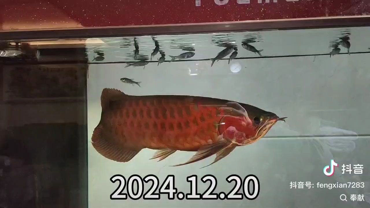 2024.12.20