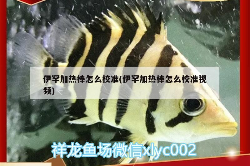 伊罕加熱棒怎么校準(伊罕加熱棒怎么校準視頻)
