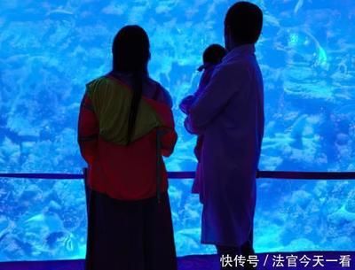 水族館上班工資怎么樣：吳興龍閣水族館為民樂水族館上班工資需要根據實際情況進行評估 水族館上班工資怎么樣：吳興龍閣水族館為民樂水族館上班工資需要根據實際情況進行評估 水族館百科（水族館加盟） 第4張