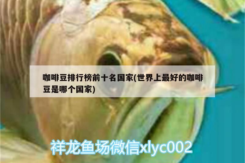 咖啡豆排行榜前十名國家(世界上最好的咖啡豆是哪個國家) 咖啡豆排行榜前十名國家(世界上最好的咖啡豆是哪個國家) 馬來西亞咖啡