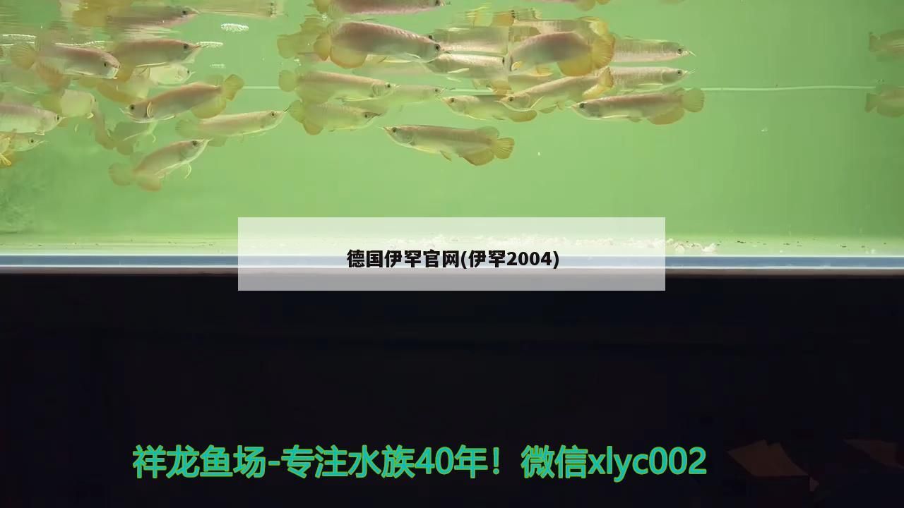 德國伊罕官網(伊罕2004) 德國伊罕官網(伊罕2004) 伊罕水族