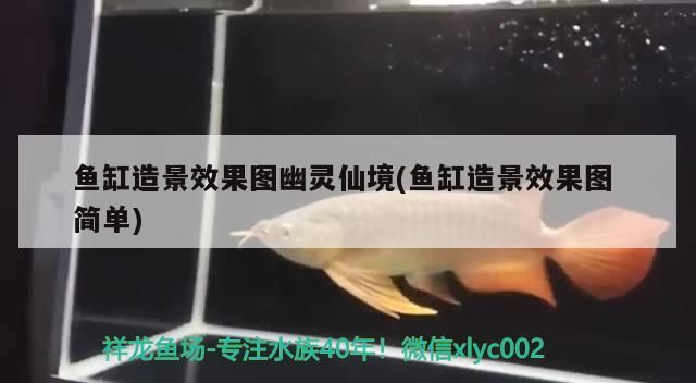 魚缸造景效果圖幽靈仙境(魚缸造景效果圖簡單) 魚缸造景效果圖幽靈仙境(魚缸造景效果圖簡單) 觀賞魚百科