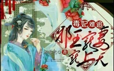 森森的小說妃要上天 森森的小說妃要上天 森森魚缸