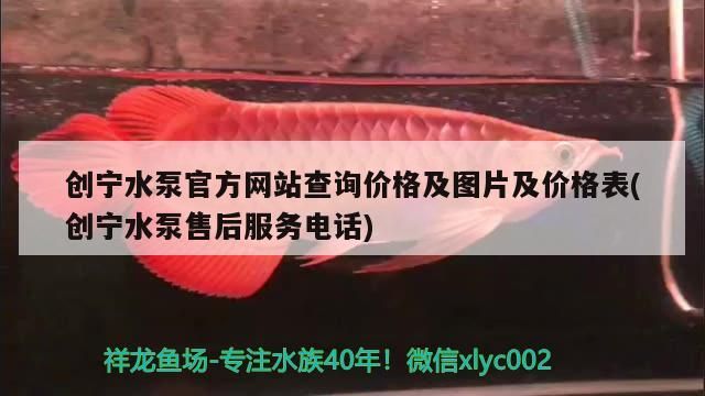 創寧水泵官方網站查詢價格及圖片及價格表(創寧水泵售后服務電話) 創寧水泵官方網站查詢價格及圖片及價格表(創寧水泵售后服務電話) 創寧水族