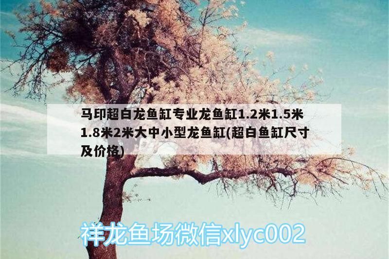 馬印超白龍魚缸專業龍魚缸1.2米1.5米1.8米2米大中小型龍魚缸(超白魚缸尺寸及價格)