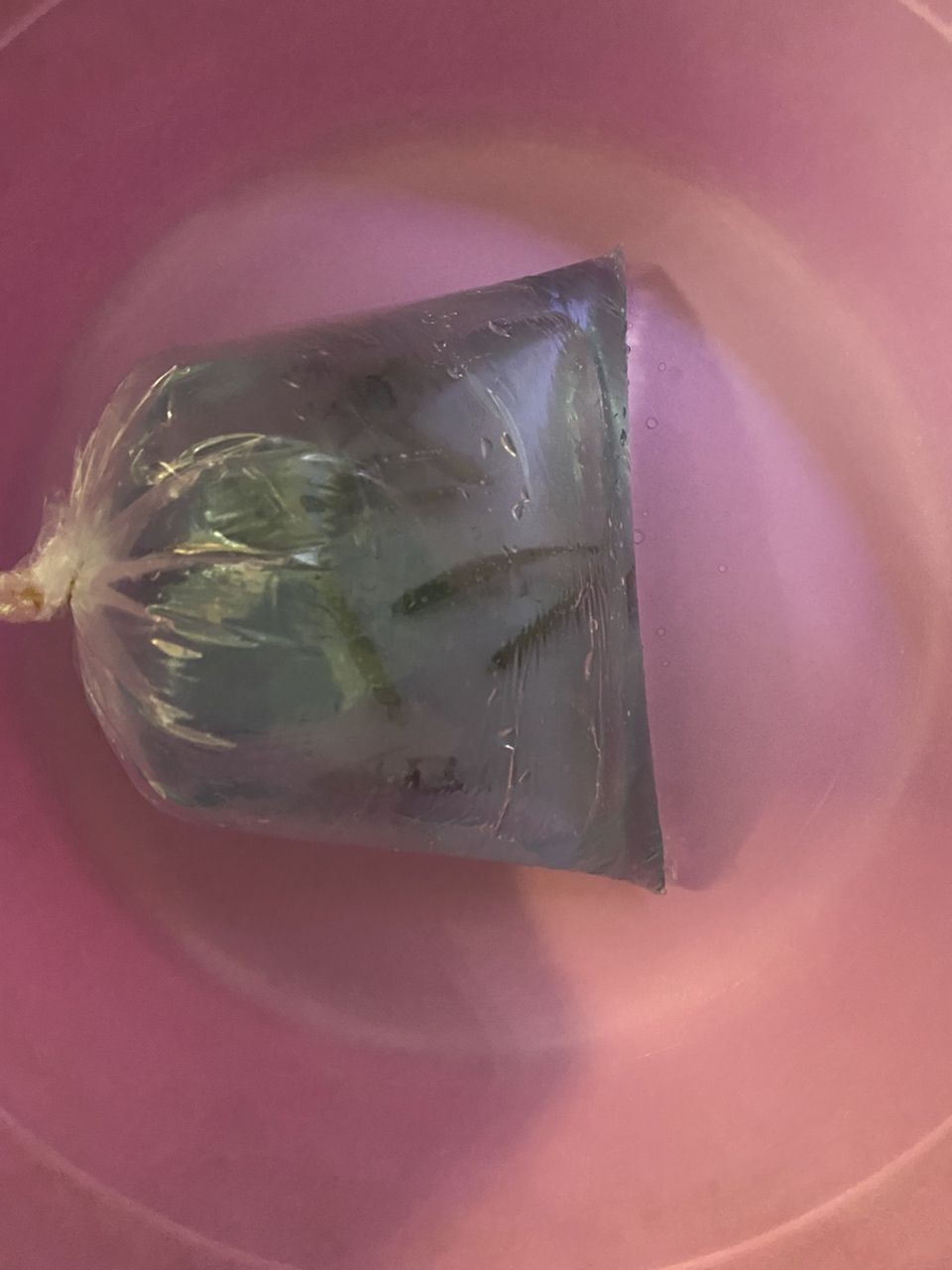 年底就買魚