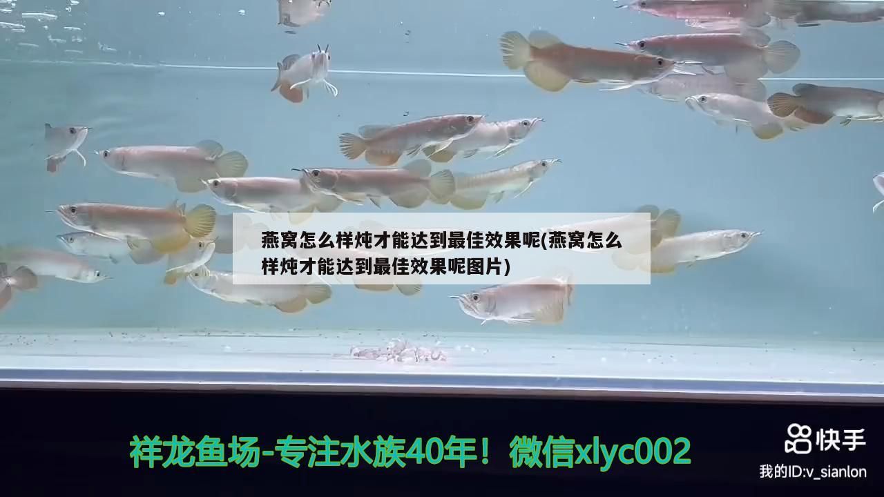 營口市站前區自魚自樂水族店