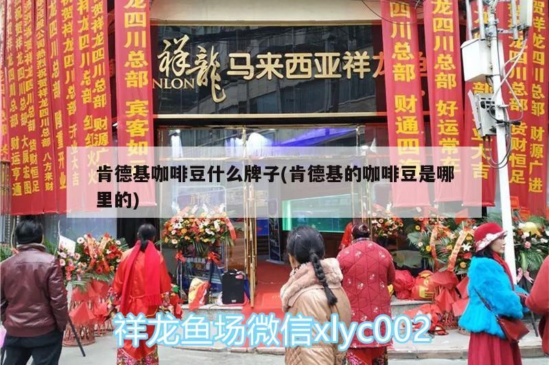 肯德基咖啡豆什么牌子(肯德基的咖啡豆是哪里的) 肯德基咖啡豆什么牌子(肯德基的咖啡豆是哪里的) 馬來西亞咖啡