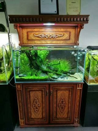 盆友店里的水草缸 盆友店里的水草缸 全國水族館企業名錄 第1張
