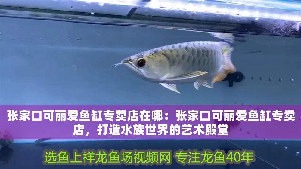 張家口可麗愛魚缸專賣店在哪：張家口可麗愛魚缸專賣店，打造水族世界的藝術殿堂 張家口可麗愛魚缸專賣店在哪：張家口可麗愛魚缸專賣店，打造水族世界的藝術殿堂 iwish愛唯希品牌魚缸 第1張