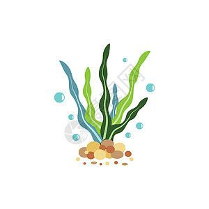 水族館牌子圖片(水族館牌子的設計與制作) 水族館百科(水族館加盟) 第1張 水族館牌子圖片(水族館牌子的設計與制作) 水族館牌子圖片(水族館牌子的設計與制作) 水族館百科(水族館加盟) 第1張