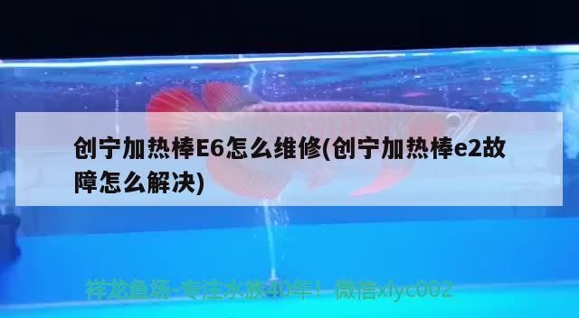 創(chuàng)寧加熱棒E6怎么維修(創(chuàng)寧加熱棒e2故障怎么解決) 創(chuàng)寧加熱棒E6怎么維修(創(chuàng)寧加熱棒e2故障怎么解決) 創(chuàng)寧水族