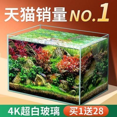 60cmx30cm的魚缸適合養(yǎng)多少條魚：60cmx30cm的魚缸適合養(yǎng)多少條魚，養(yǎng)多少條魚的信息